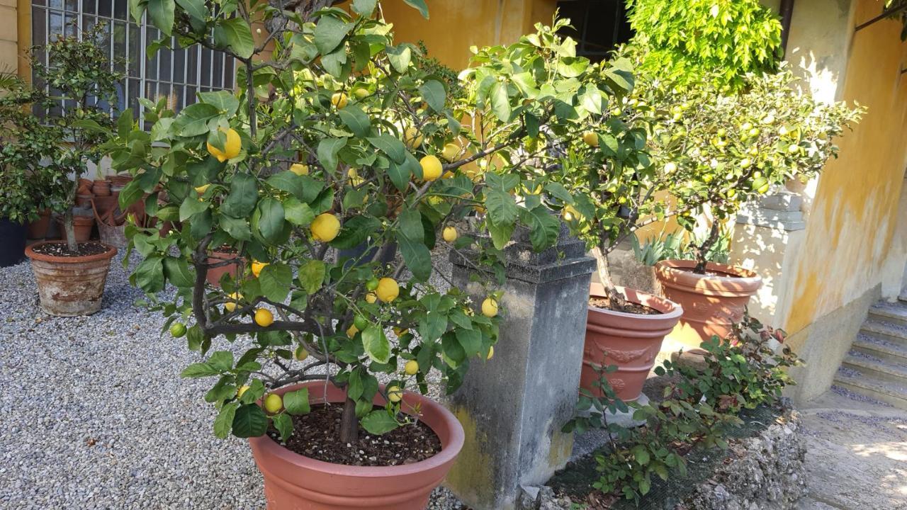 بيرغامو B&B Villa Sant'Anna المظهر الخارجي الصورة