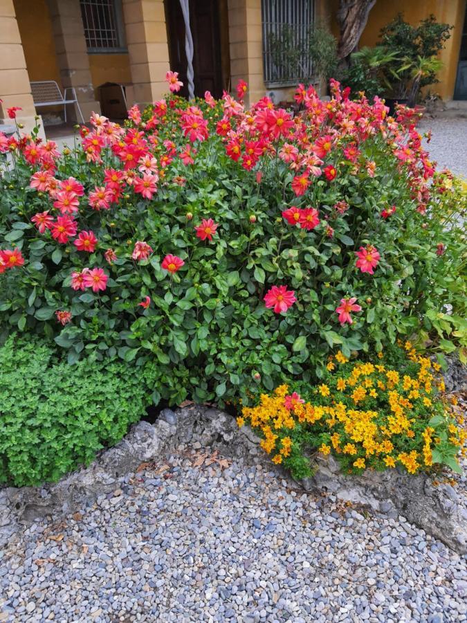 بيرغامو B&B Villa Sant'Anna المظهر الخارجي الصورة