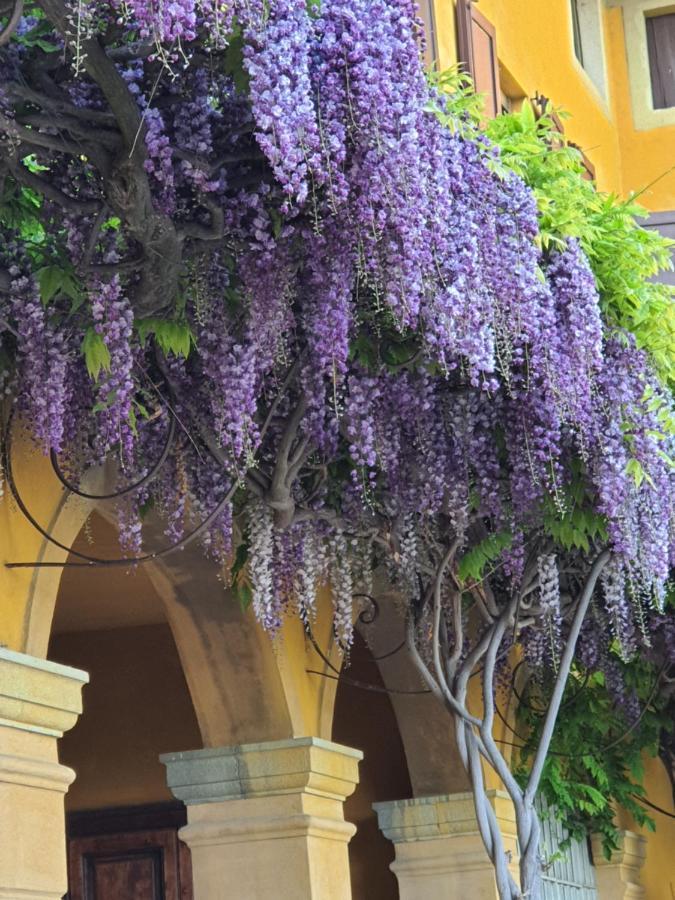 بيرغامو B&B Villa Sant'Anna المظهر الخارجي الصورة